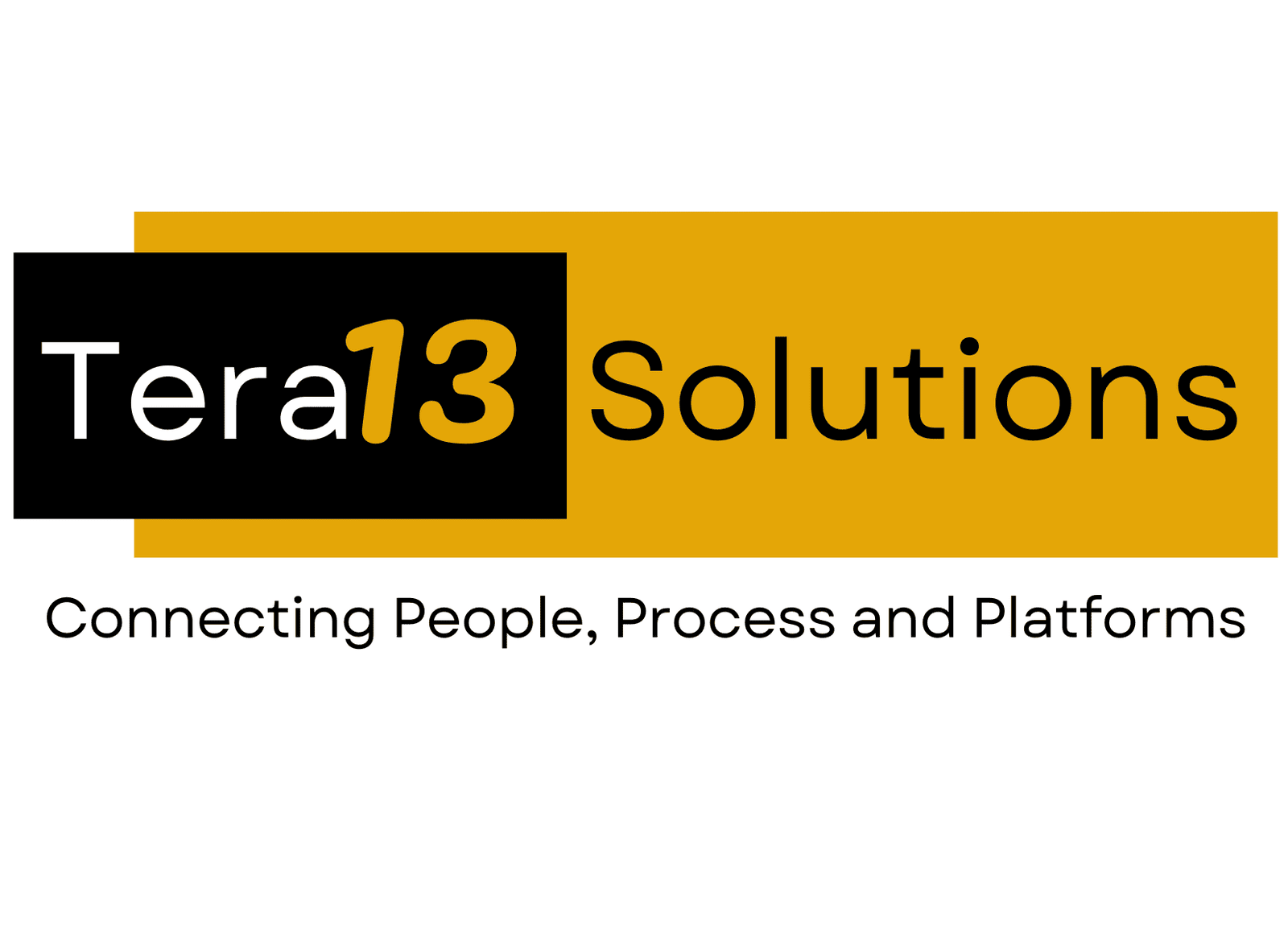 Tera13solutions.com